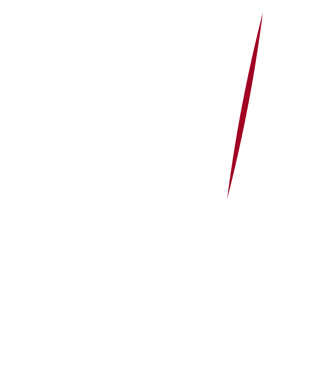 Pancho Villa Forja